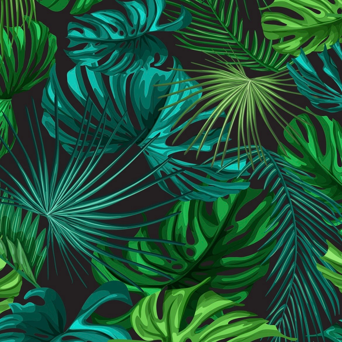 Kapolei Foliage