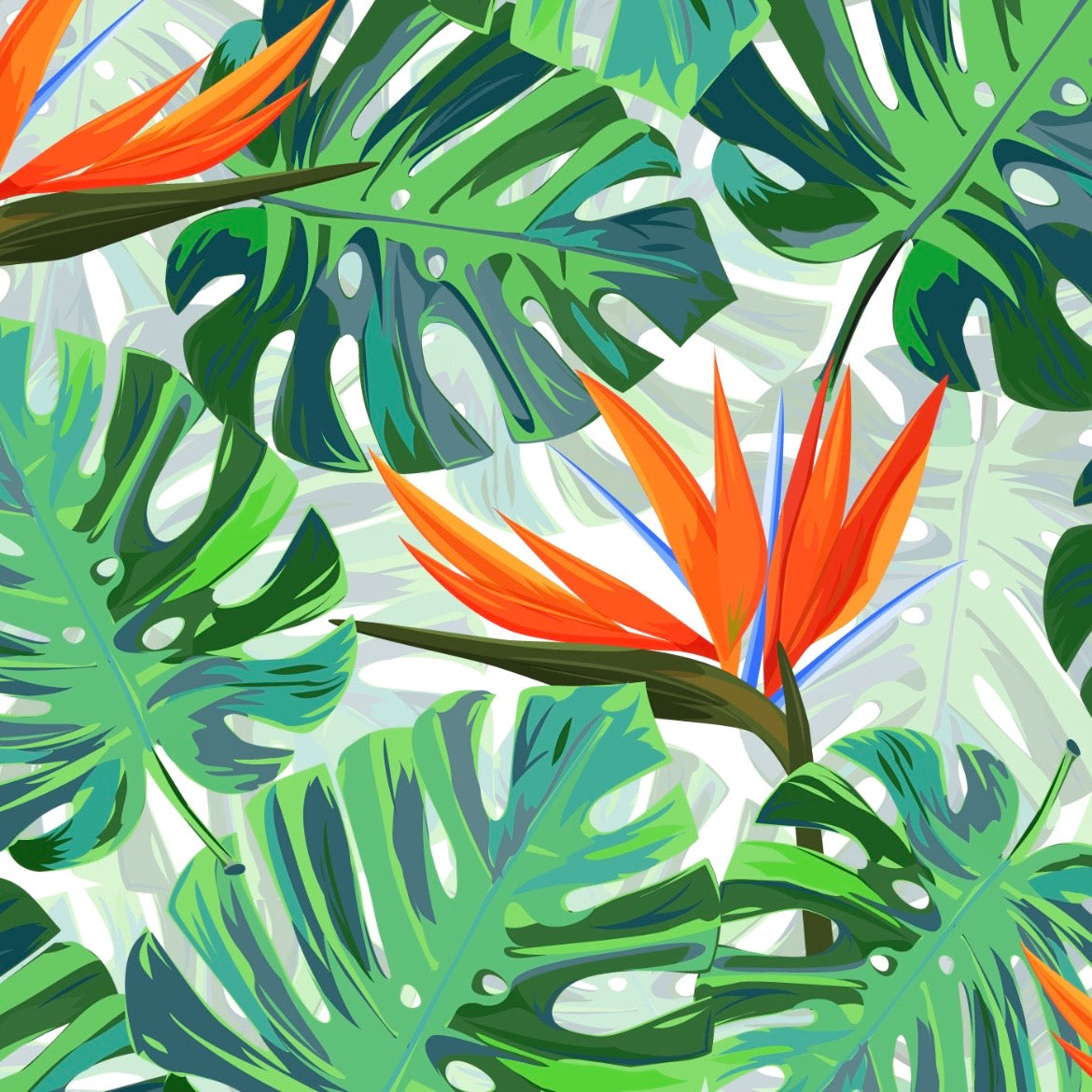 Tropical Paradise