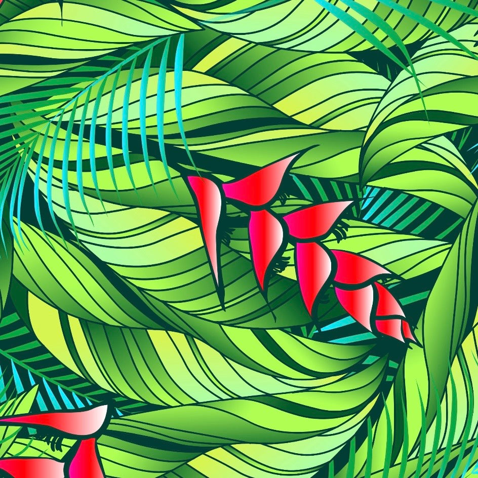 Heliconia