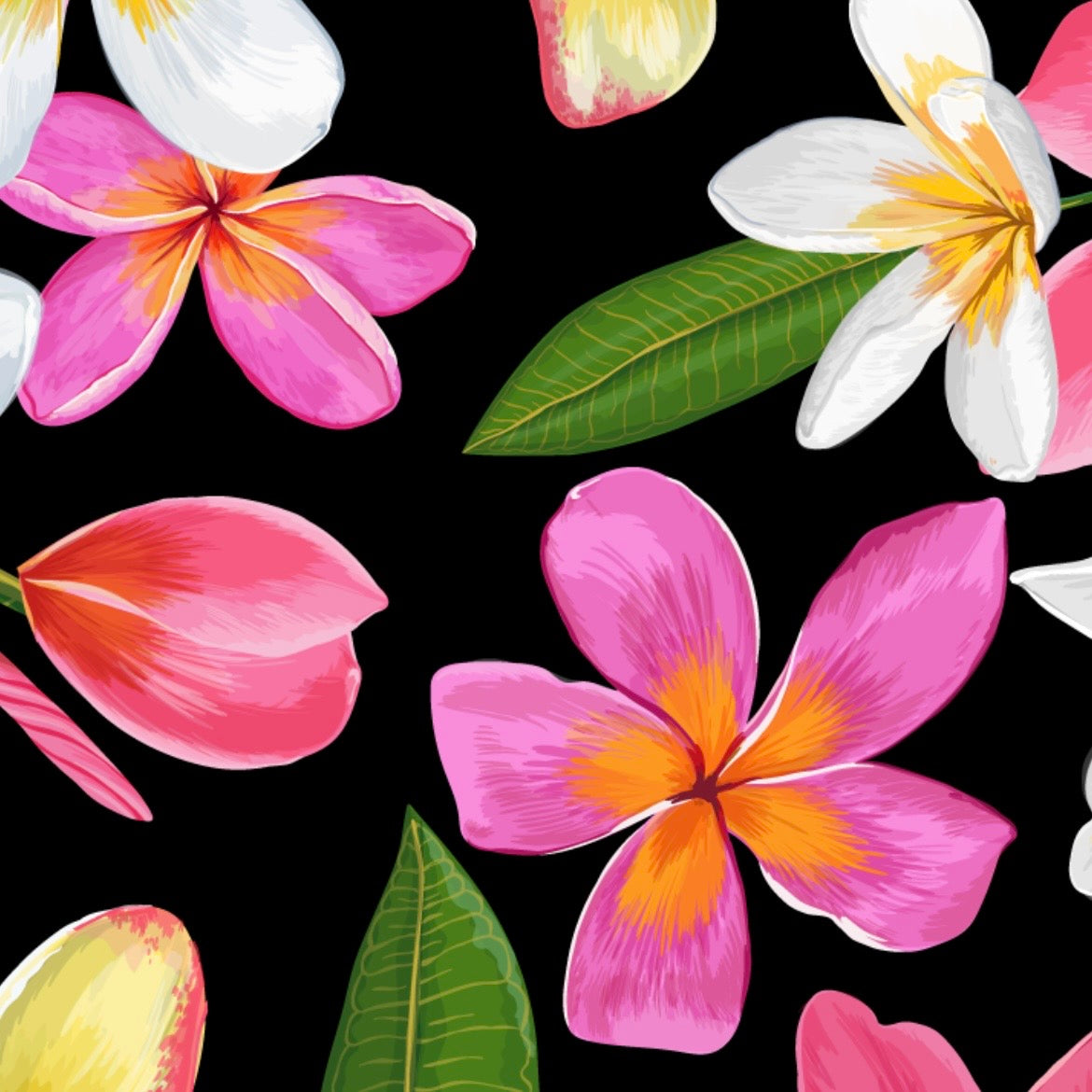 Watercolor Plumerias