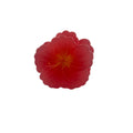 Hibiscus Hair Clip - Small: Red/Yellow
