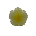 Hibiscus Hair Clip - Small: Cream/Yellow