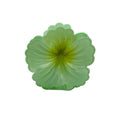 Hibiscus Hair Clip - Large: Light Green/Green