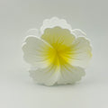 Hibiscus Hair Clip - Large: White/Yellow