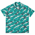 Dolphin Swim