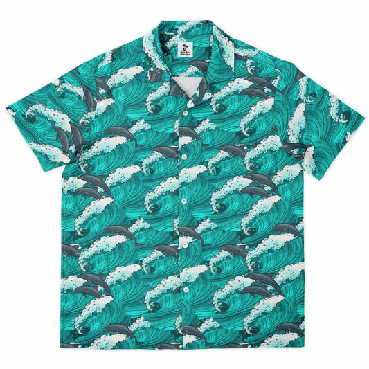 Dolphin Swim