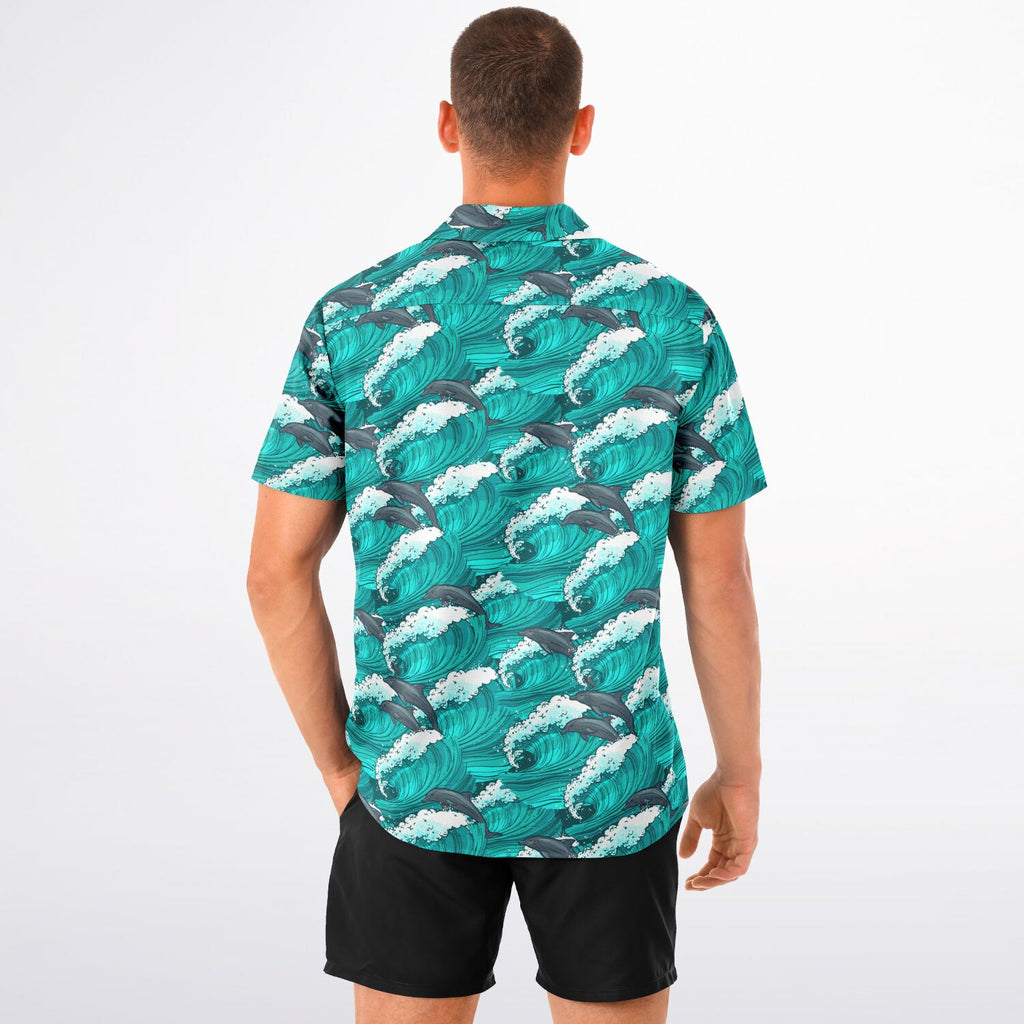 Dolphin Swim