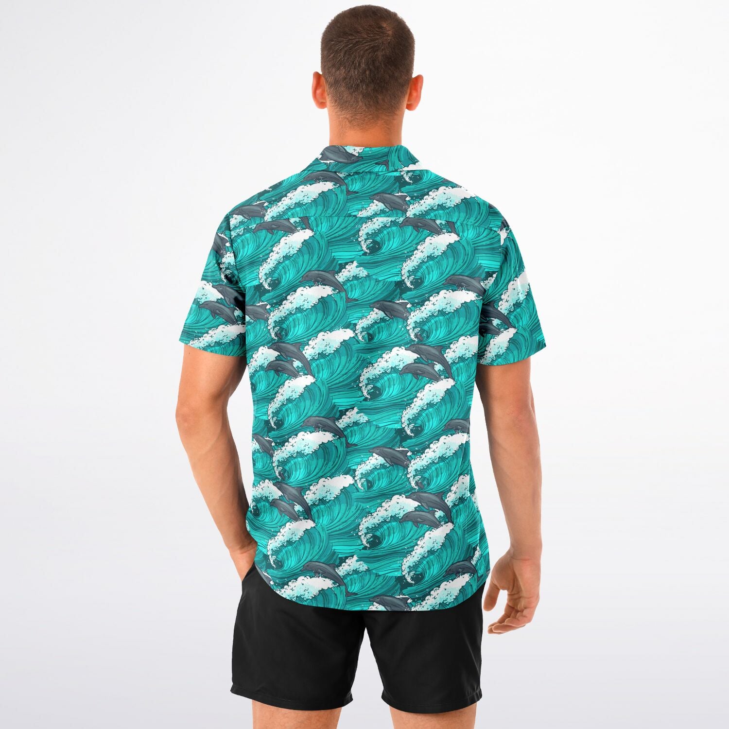 Dolphin Swim