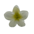 Plumeria Hair Clip - Large: White/Green