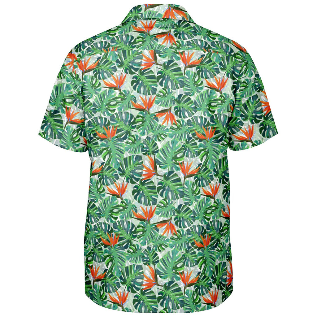 Tropical Paradise