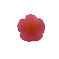 Hibiscus Hair Clip - Small: Pink/Yellow