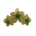 Plumeria Trio Hair Clip - Large: Cream/Green