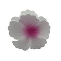Hibiscus Hair Clip - Large: White/Pink