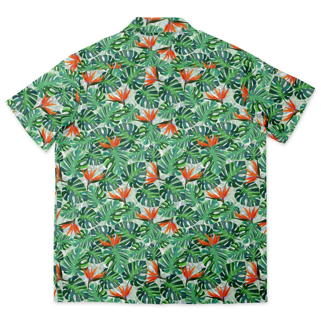 Tropical Paradise