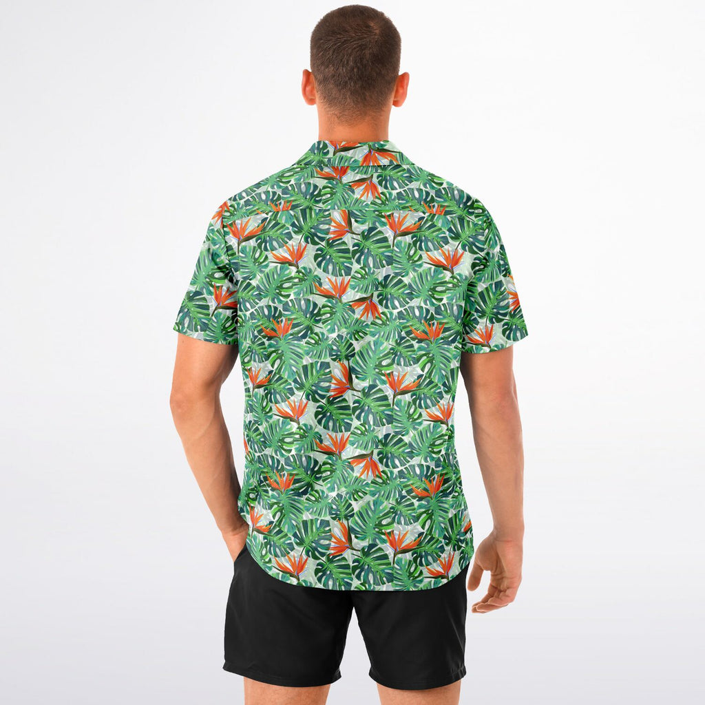 Tropical Paradise