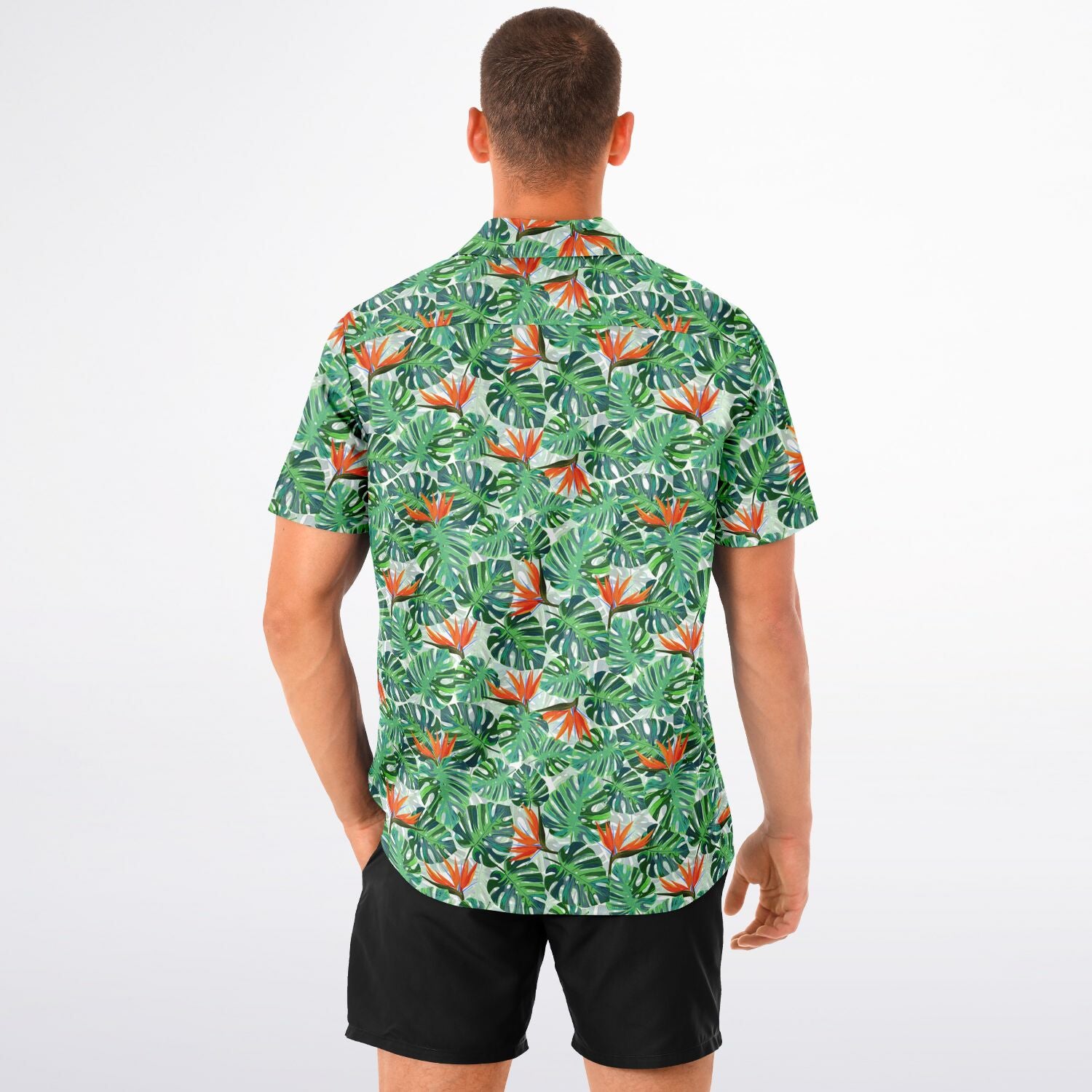 Tropical Paradise