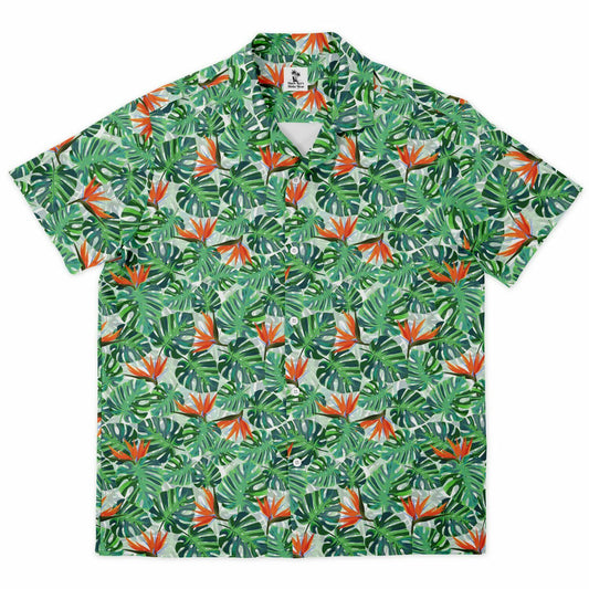 Tropical Paradise