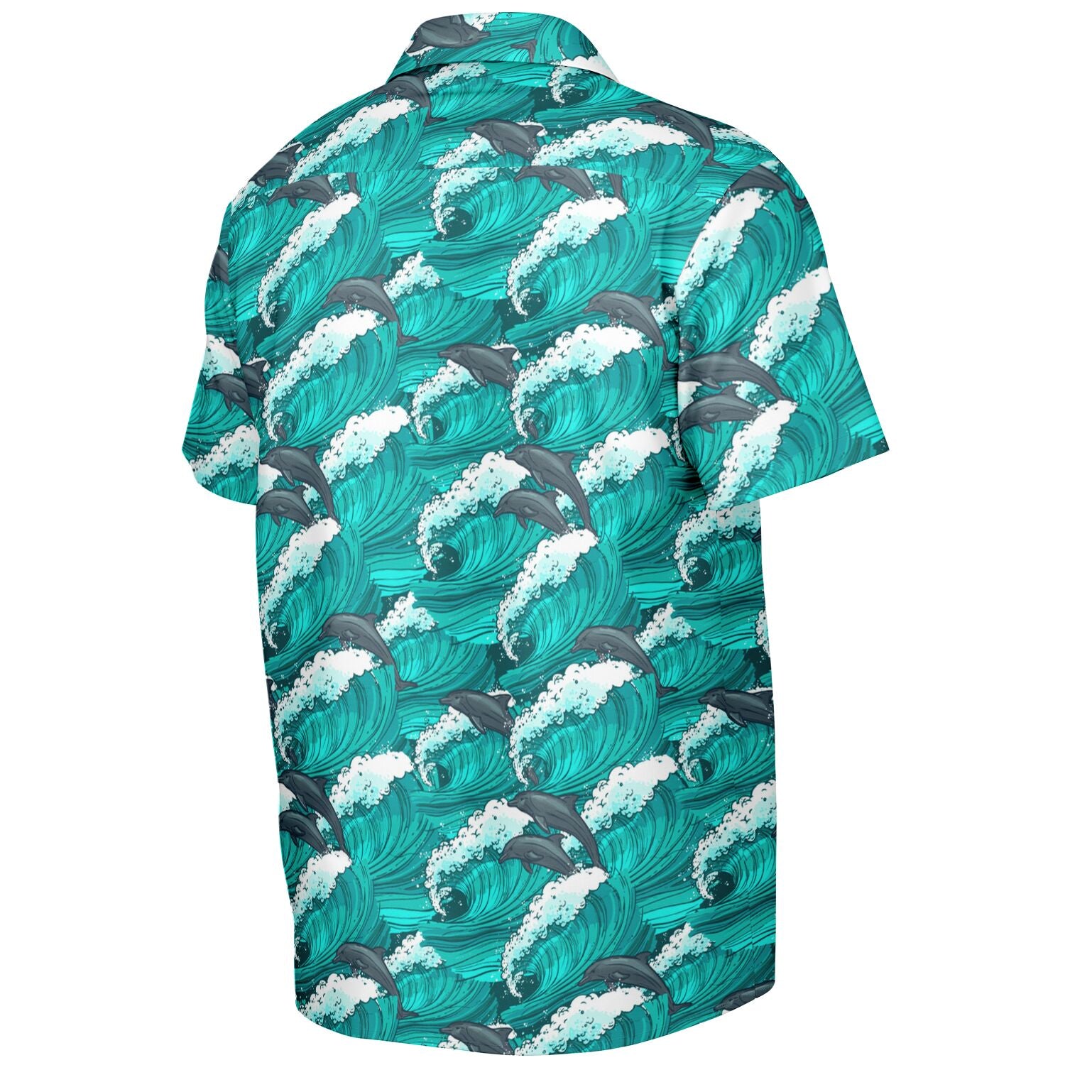 Dolphin Swim