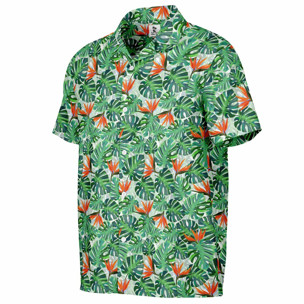Tropical Paradise